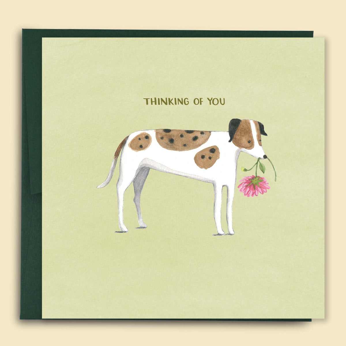 Thinking Of You Dog Card Papernest Cards