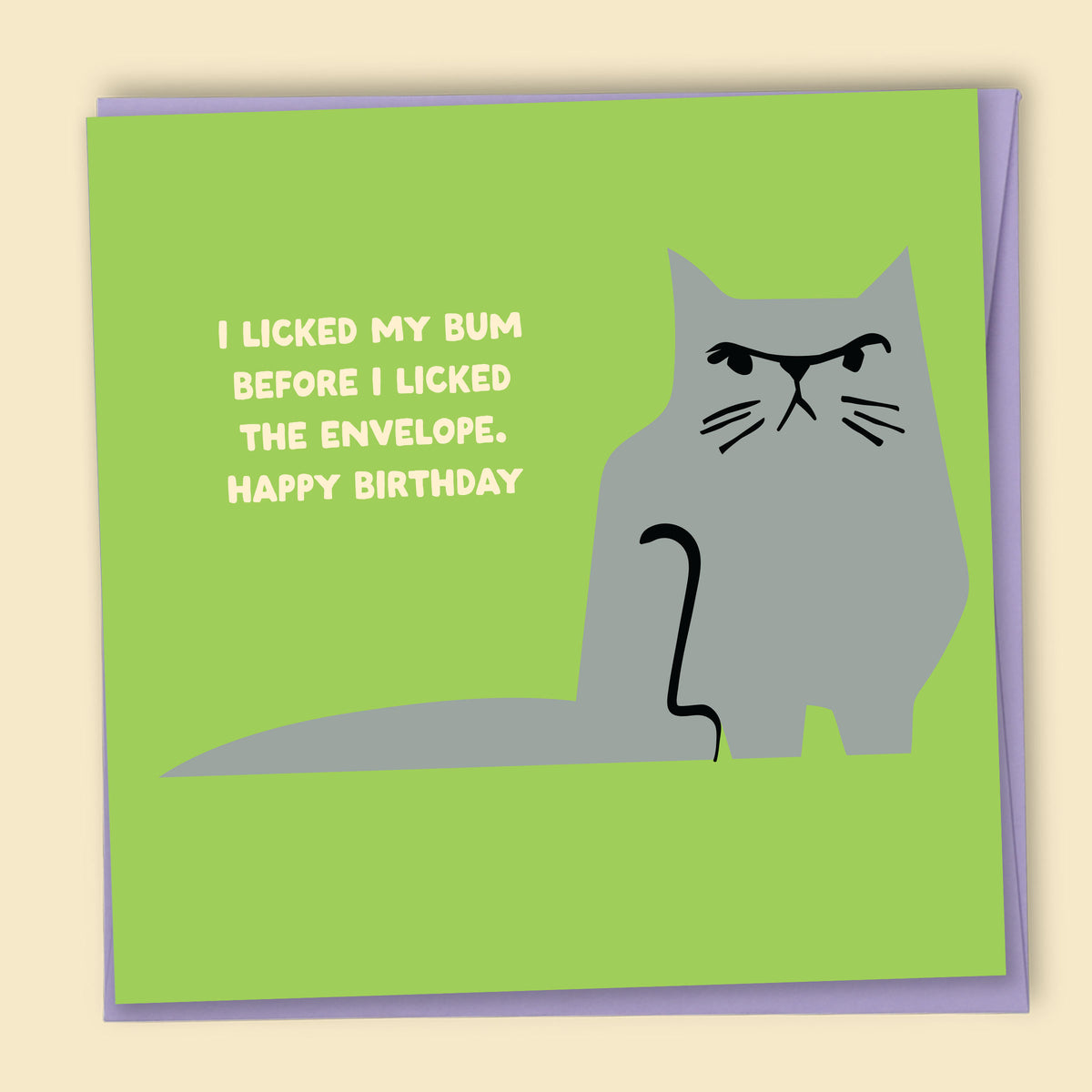 Birthday card with a cat illustration and the  text "I licked my bum before I licked the envelope. Happy Birthday" — Australian-made greeting card by Papernest