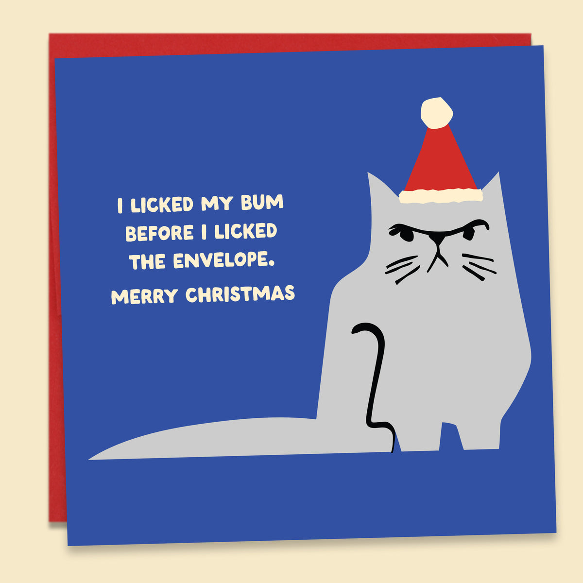 A Christmas greeting card with a blue front, featuring an illustrated gray cat wearing a red Santa hat and white text that reads, 'I LICKED MY BUM BEFORE I LICKED THE ENVELOPE. MERRY CHRISTMAS. Australian-made greeting card by Papernest