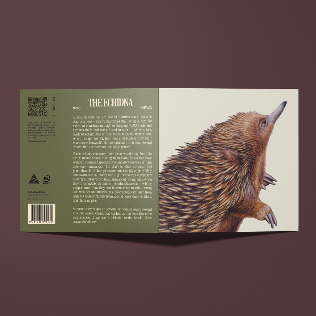 Greeting card with an illustration of an echidna.