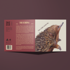 Greeting card with an echidna illustration reading "Have A Spike-tacular Day"