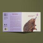 Greeting card with an echidna looking up at a butterfly illustration. Card reads, You Deserve all the beauty in the world.