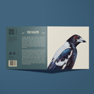 Greeting card with a watercolour illustration of a Magpie by Heidi Williss.