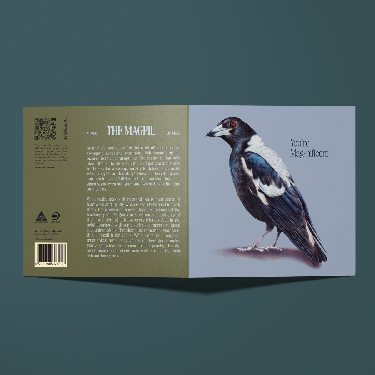 Greeting card featuring a watercolour illustration of a Magpie reading "You're Mag-nificent", with facts about the Magpie on the back of the card.